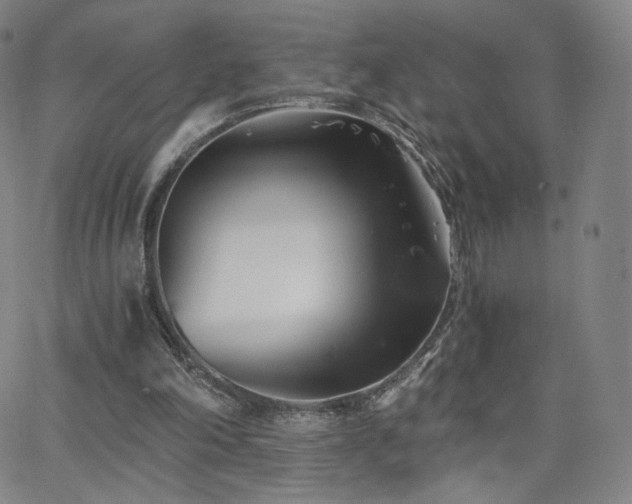 X0000063520198200601201441