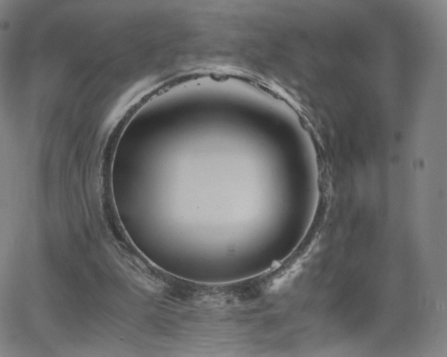 X0000063520199200601201441