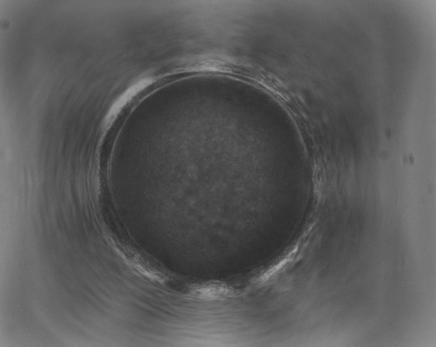 X0000063520200200601201441