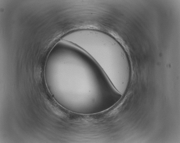 X0000063520201200601201441