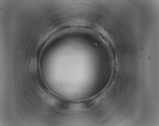 X0000063520202200601201441