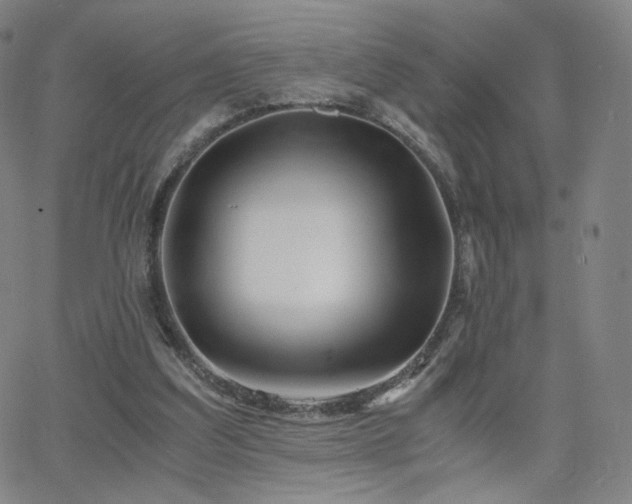 X0000063520203200601201441