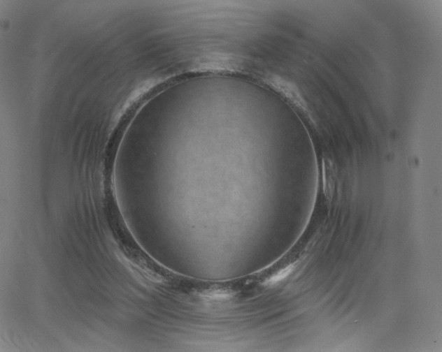 X0000063520204200601201441