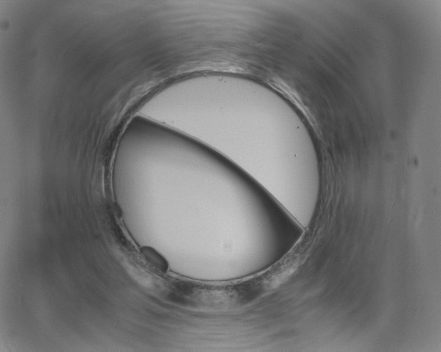 X0000063520205200601201441