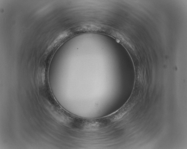 X0000063520206200601201441