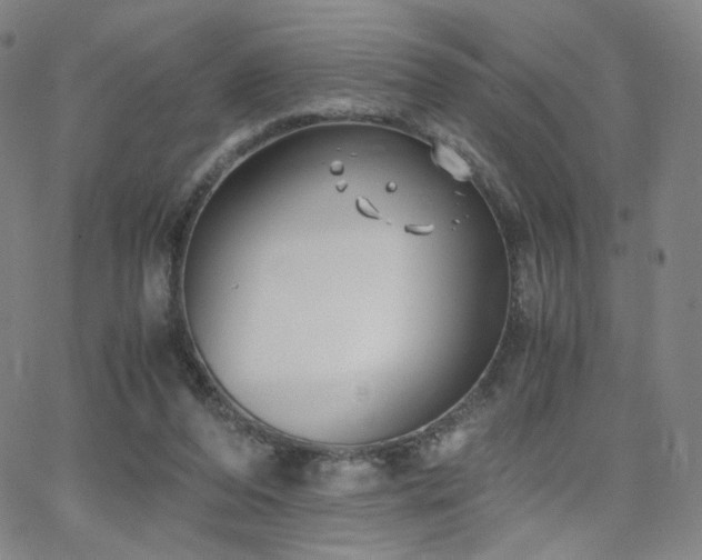 X0000063520208200601201441