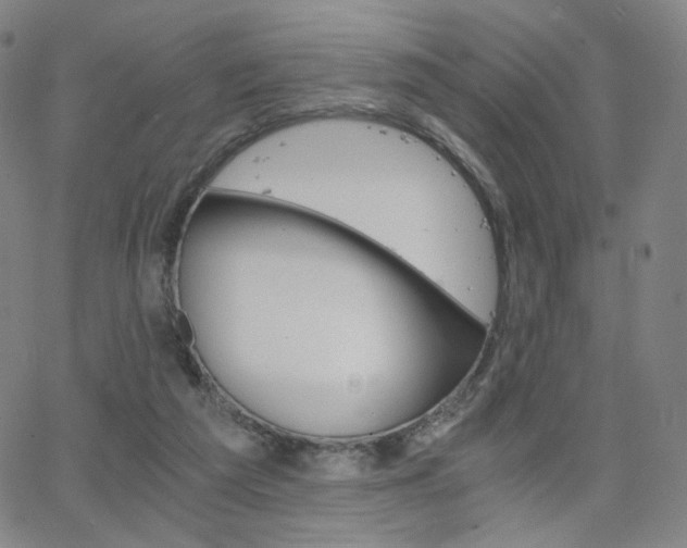 X0000063520209200601201441