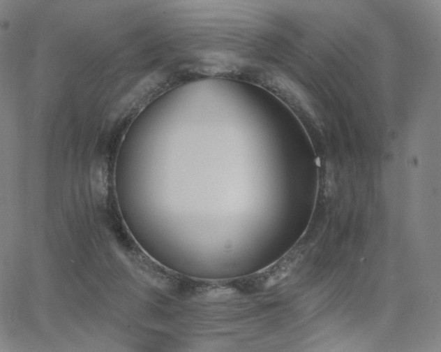 X0000063520210200601201441