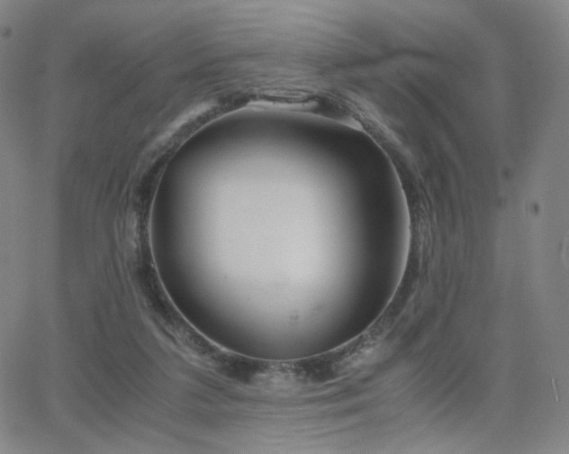 X0000063520211200601201441