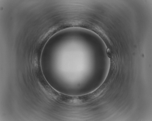 X0000063520212200601201441