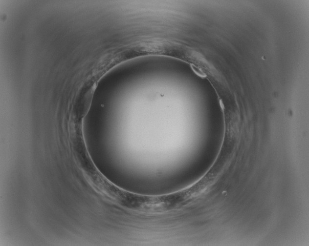 X0000063520213200601201441