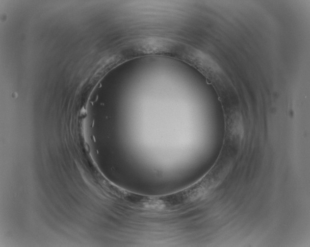 X0000063520214200601201441