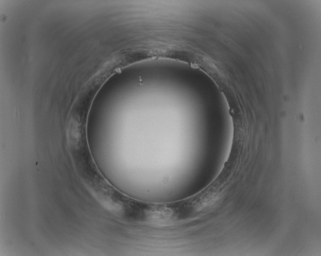 X0000063520215200601201441