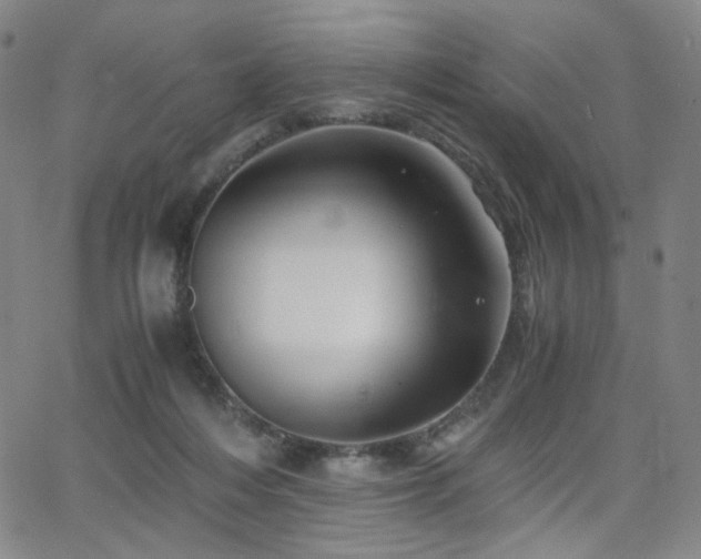 X0000063520216200601201441