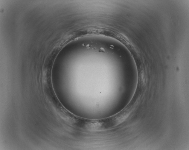 X0000063520217200601201441