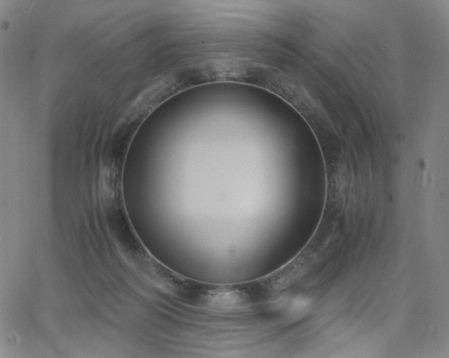 X0000063520218200601201441