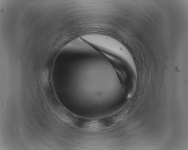 X0000063520219200601201441