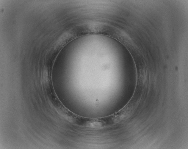 X0000063520220200601201441