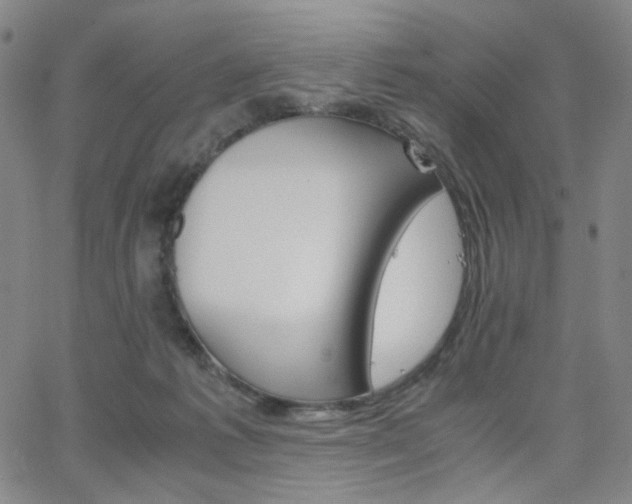 X0000063520221200601201441