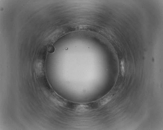 X0000063520222200601201441