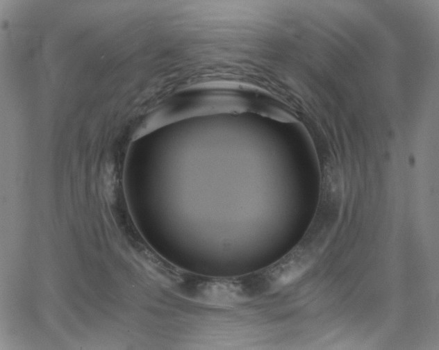 X0000063520223200601201441