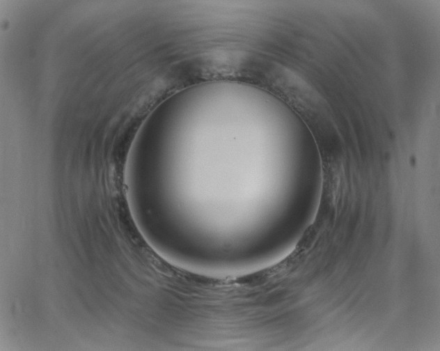 X0000063520224200601201441