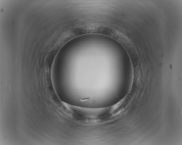 X0000063520225200601201441