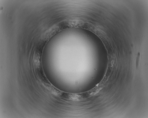 X0000063520226200601201441