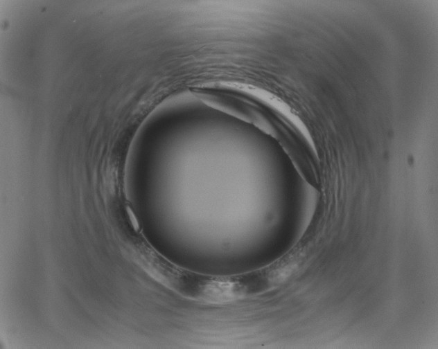 X0000063520227200601201441