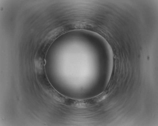 X0000063520228200601201441