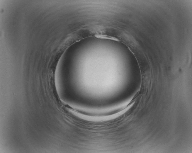 X0000063520229200601201441