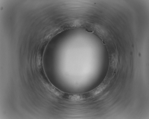 X0000063520230200601201441