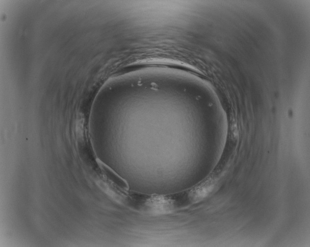 X0000063520231200601201441