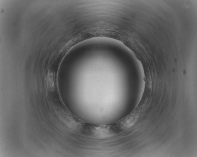 X0000063520232200601201441