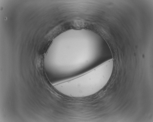 X0000063520233200601201441