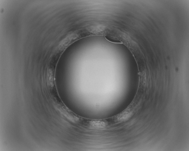 X0000063520234200601201441