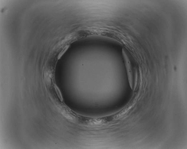 X0000063520235200601201441