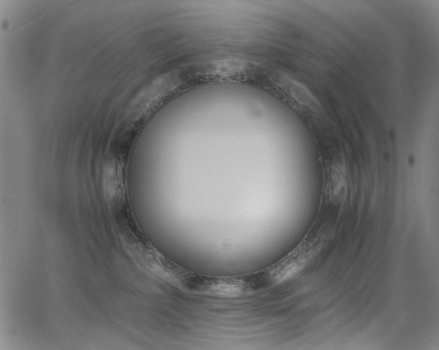 X0000063520236200601201441