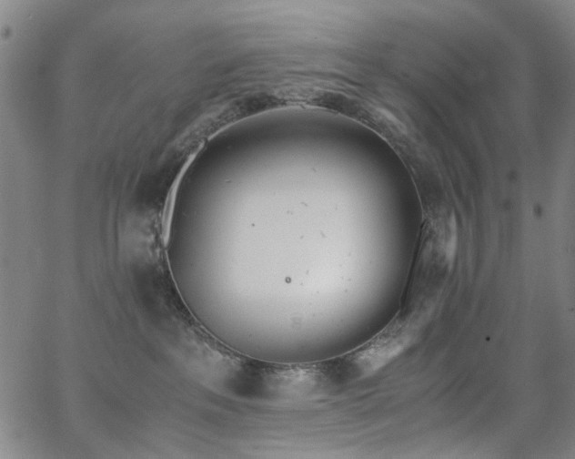 X0000063520237200601201441