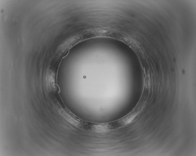 X0000063520238200601201441