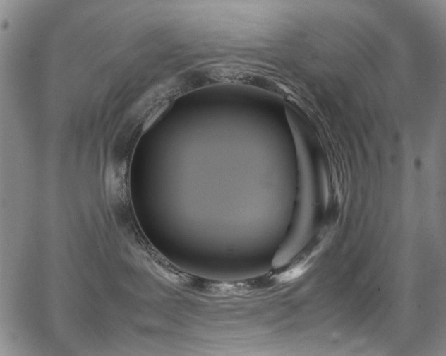 X0000063520239200601201441