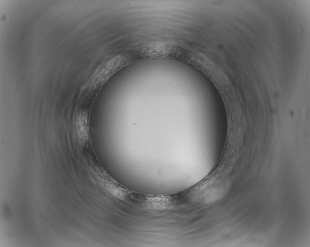 X0000063520240200601201441