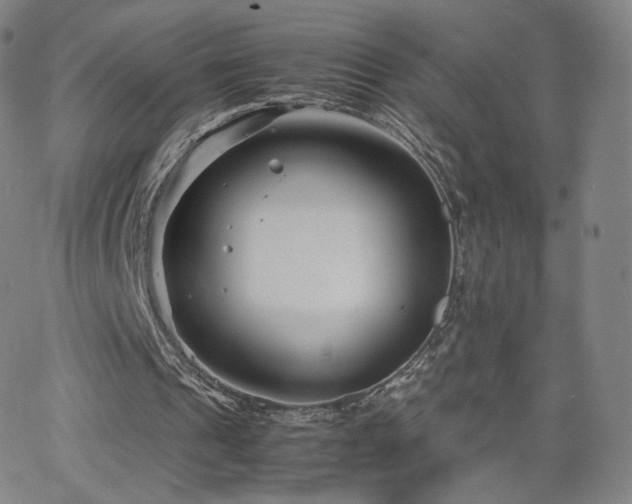 X0000063520241200601201440