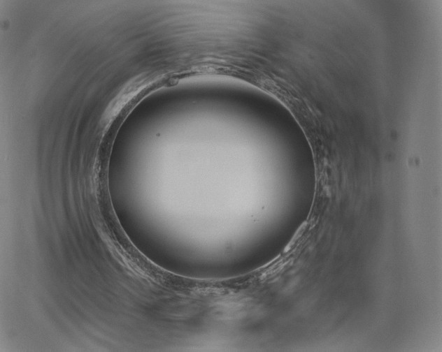 X0000063520242200601201440