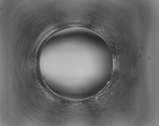 X0000063520243200601201440