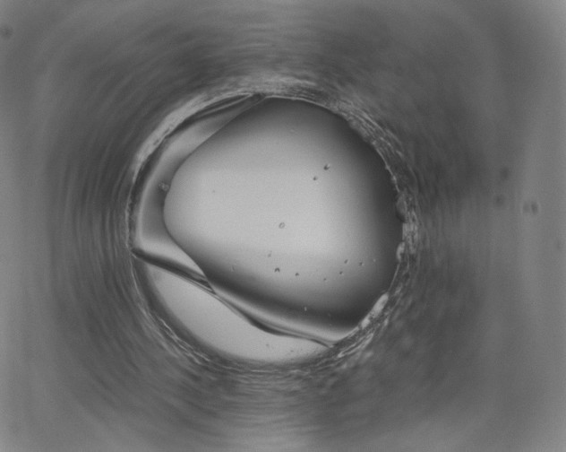 X0000063520244200601201440