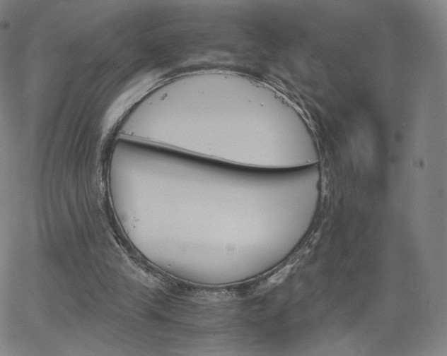 X0000063520245200601201440