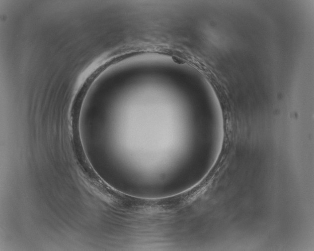 X0000063520246200601201440