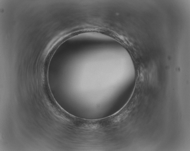 X0000063520247200601201440