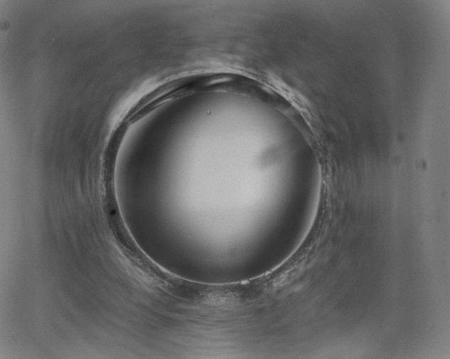 X0000063520248200601201440